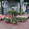 DSC 0545.JPG