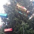 DSC 0728.JPG