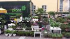 Pflanzenstand